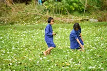 671211 สมุนพระรามถ่ายภาพที่สะพานสวนน่ารัก เก็บผักบุ้งที่นาผักบุุ้ง 17.jpg