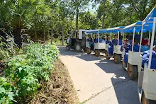 671228 สมุนพระรามเข้าค่าย เรียนการปรับปรุงพันธุ์พุทธรักษา เล่นเกมกินวิบาก พาทัวร์รถราง 278.jpg