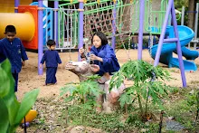 680224 วันบวร สมุนพระรามทำแปลงคอสมอส ข้างสนามเด็กเล่น 30.jpg