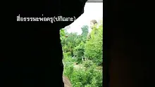 สื่อธรรมะพ่อครู(ปกิณกะ) ตอน ทำไมพ่อครูไม่ไปเผยแพร่ต่างประเทศ.mp4