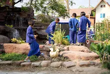 680218 สมุนพระราม เพาะควบแน่น เมล็ดพุทธรักษาที่ได้ผสมพันธุ์ข้ามสี  39.jpg