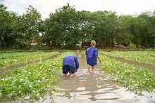 671211 สมุนพระรามถ่ายภาพที่สะพานสวนน่ารัก เก็บผักบุ้งที่นาผักบุุ้ง 45.jpg