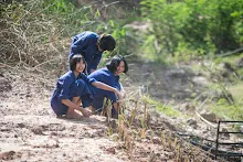 680603 รวมพลังปลูกแฝก และทองหลาง วันเฉลิมพระชนมพรรษา สมเด็จพระนางเจ้าสุทิดา 93.jpeg