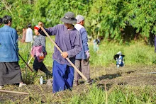 671021 วันบวร รวมสี ถางหญ้า สวนเพื่อฟ้าดิน36.jpg