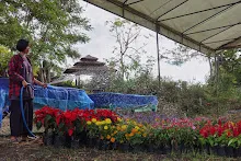 671213 ภาพ การเลี้ยงผำในอ่างพลาสติก ปสช.บิวตี้ บอส 110.jpg