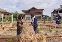 671216 สมุนพระราม ห่มดินสวนน่ารักด้วยฟางข้าว วัดระดับน้ำคลองไส้ไก่ 72.jpg