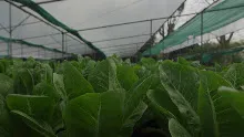 690306 สสธ ม1  ร่วมงานพุทธา ไปเนินพอกิน 32.JPG