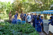 671228 สมุนพระรามเข้าค่าย เรียนการปรับปรุงพันธุ์พุทธรักษา เล่นเกมกินวิบาก พาทัวร์รถราง 301.jpg