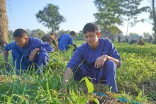 671217 สสธ.และชาวชุมขนไปถอนหญ้า แปลงหอมกระเทียม สวน 255 88.jpg