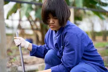 680224 วันบวร ชาวชุมชนสีแดง และ นร.ม.1 ปลูกหัวไชเท้า 37.jpg