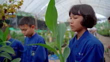 680410 สมุนพระรามนำต้นกล้าดอกไม้ที่เพาะไว้ออกขายเป็นครั้งแรกในตลาดอาริยะ 15.jpg