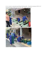671116  ช่วงเช้า นร.ประถมต้น ปลูกต้นไม้ดอกกินได้หลายชนิด