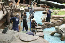 680511 ภาพโฮมแฮงขัดนำตกองค์พระพุทธธาในวันวิสาขฯ 57.jpeg