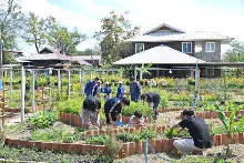 680209-12 นร. Horizon Middle School จาเกาหลี ศึกษาวัฒนธรรมบุญนิยม  บ้านราช 25.jpg