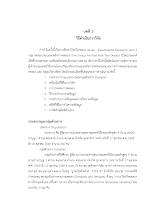 06 610327 บทที่ 3เอมอร__.pdf