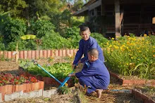 680103 สมุนพระรามดูแลสวนเช้า เย็น เปียหม่องเริ่มทำน้ำตก 62.jpg
