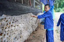 671221 สมุนพระรามพาน้องครูตุ๊กเยี่ยมสวนไวพลัง 1.jpg