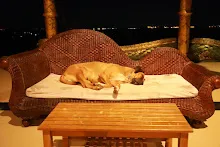 IMG_1503.JPG