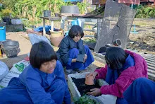 680608 สมุนพระรามเก็บเมล็ดพันธุ์ดอกไม้กินได้ที่สวน ไปขนดินปลูก 120.jpg
