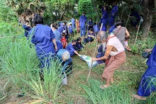 IMG_3789.jpg