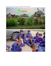 680308 สมุนพระราม ทดสอบ pH ของดินด้วยน้ำสะกัดดอกอัญชัน