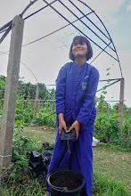 671213 ภาพ การเลี้ยงผำในอ่างพลาสติก ปสช.บิวตี้ บอส 40.jpg
