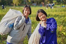 680204 สสธ.ชาวชุมชน สีเหลืองสีแดง เก็บถั่วพุ่มนาลานกราบ 91.jpg