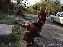 206216.jpg