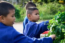 671124 สมุนพระราม ทำสลัดโรลแจก ที่โรงครัวกลาง 27.jpg