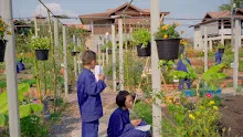 680221 สมุนพระรามเรียนรู้การสังเกตอาการผิดปกติของพืชในสวน 2.jpg
