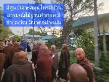 680209 เดินตามรอยโพธิสัตว์ งานพุทธาฯปฐมอโศก ต้นทองหลาง สังเคราะห์แสง 4.jpeg