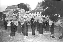 Ptr1011.jpg