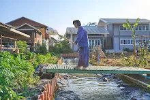680103 สมุนพระรามดูแลสวนเช้า เย็น เปียหม่องเริ่มทำน้ำตก 76.jpg