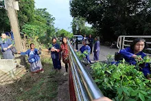 IMG_3772.jpg