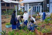 680121 สมุนพระรามยกกระถางต้นไม้แต่งสวน เปียหม่องทดลองเปิดน้ำตก 19.jpg