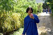 680202 สสธ.ม.3 ฝึกหัดเพาะชำต้นไม้แบบควบแน่น ไปสวนไวพลัง 105.jpg