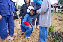 671216 สมุนพระราม ห่มดินสวนน่ารักด้วยฟางข้าว วัดระดับน้ำคลองไส้ไก่ 38.jpg