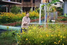 680201 สมุนพระรามปรับปรุงสวนครอบครัวน่ารักเช้า 37.jpg