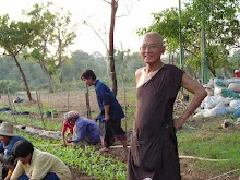 9947 1009_012.JPG