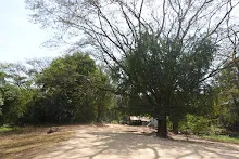 680202 สสธ.ม.3 ฝึกหัดเพาะชำต้นไม้แบบควบแน่น ไปสวนไวพลัง 332.JPG