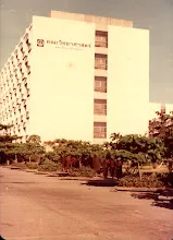 010.jpg