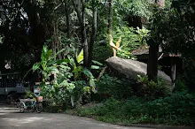 680602 วันบวรบ้านราช 52.jpg