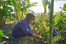 680120 สสธ.ม.4 ชาวชุมชน ถางหญ้า ทำแปลงสวนทำกิน 79.jpg