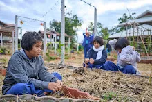 671216 สมุนพระราม ห่มดินสวนน่ารักด้วยฟางข้าว วัดระดับน้ำคลองไส้ไก่ 22.jpg
