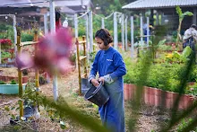 680121 สมุนพระรามยกกระถางต้นไม้แต่งสวน เปียหม่องทดลองเปิดน้ำตก 26.jpg