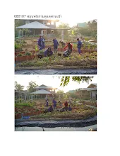 680107 สมุนพระรามดูแลสวนเช้า