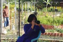 680202 สสธ.ม.3 ฝึกหัดเพาะชำต้นไม้แบบควบแน่น ไปสวนไวพลัง 474.JPG