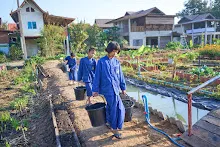 680608 สมุนพระรามเก็บเมล็ดพันธุ์ดอกไม้กินได้ที่สวน ไปขนดินปลูก 97.jpg