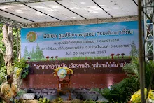 A7C00189.jpg