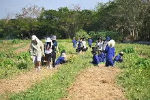 680209-12 นร. Horizon Middle School จาเกาหลี ศึกษาวัฒนธรรมบุญนิยม  บ้านราช 4.jpg